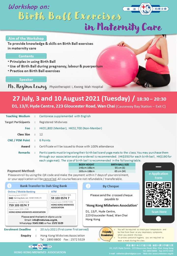 Workshop on Birth Ball Exercises in Maternity Care