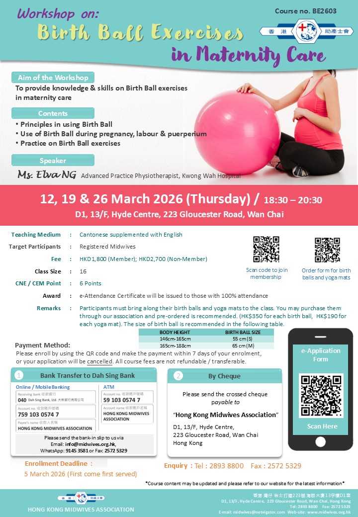 Workshop on Birth Ball Exercises in Maternity Care